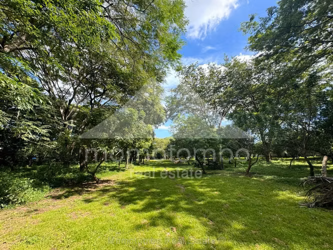 Terreno en Venta Nejapa, Managua