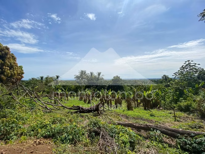 Finca en Venta Carretera A Masaya San Antonio Sur, Managua - Imagen 4