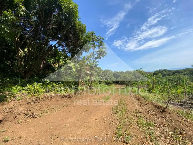 Finca en Venta Carretera A Masaya San Antonio Sur, Managua - Imagen 2