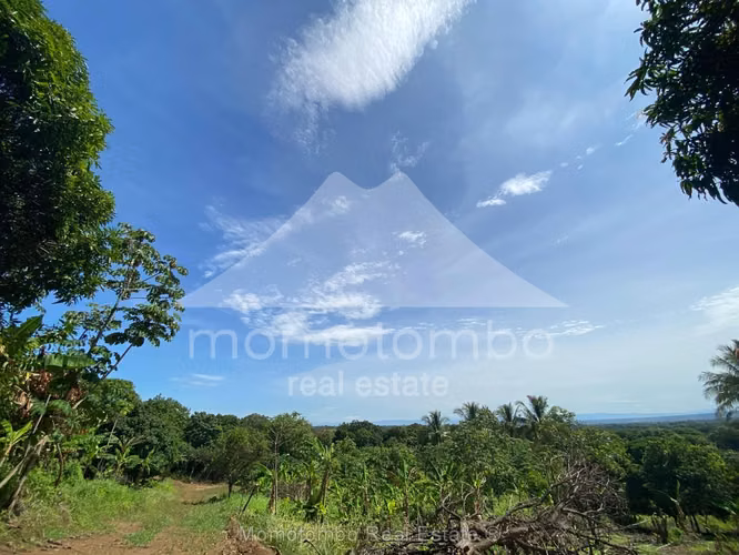 Finca en Venta Carretera A Masaya San Antonio Sur, Managua - Imagen 3