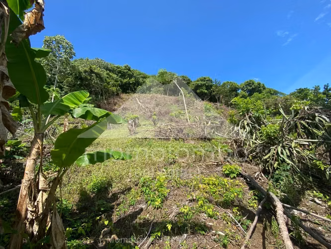 Finca en Venta Carretera A Masaya San Antonio Sur, Managua - Imagen 13