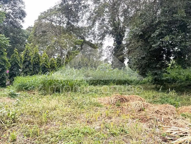 Terreno en Venta Carazo, Diriamba