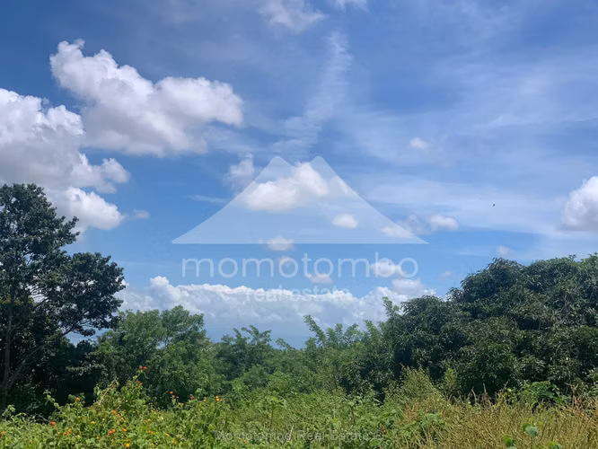 Terreno en Venta San Isidro De La Cruz Verde, Managua - Imagen 6