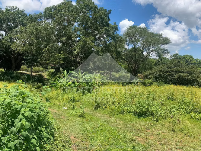 Terreno en Venta San Isidro De La Cruz Verde, Managua - Imagen 7