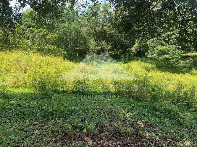 Terreno en Venta San Isidro De La Cruz Verde, Managua - Imagen 9