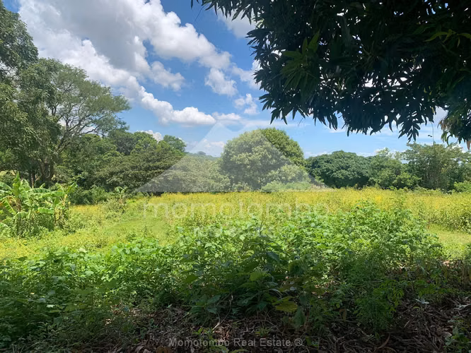 Terreno en Venta San Isidro De La Cruz Verde, Managua - Imagen 10