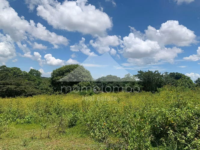 Terreno en Venta San Isidro De La Cruz Verde, Managua - Imagen 8