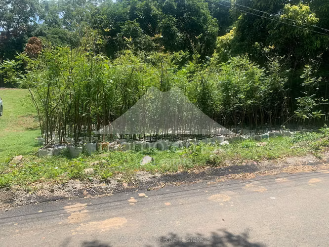 Terreno en Venta San Isidro De La Cruz Verde, Managua - Imagen 2