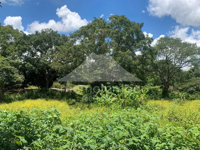 Terreno en Venta San Isidro De La Cruz Verde, Managua - Imagen 5