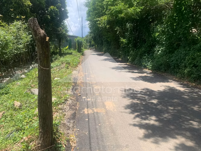Terreno en Venta San Isidro De La Cruz Verde, Managua - Imagen 4