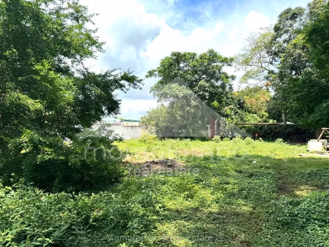 Terreno en Venta Carretera A Ticuantepe, Ticuantepe - Imagen 5