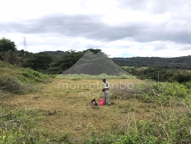 Terreno en Venta Carretera Vieja A Leon, Managua - Imagen 4