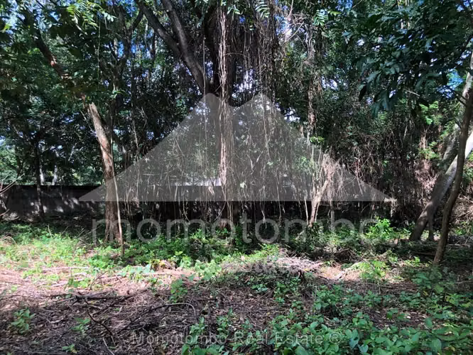 Terreno en Venta Balcones de Santo Domingo, Managua - Imagen 12