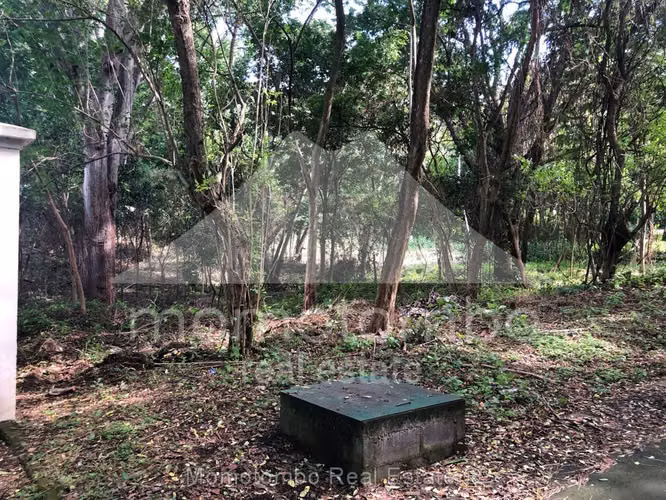 Terreno en Venta Balcones de Santo Domingo, Managua - Imagen 10