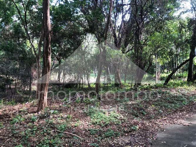 Terreno en Venta Balcones de Santo Domingo, Managua - Imagen 7
