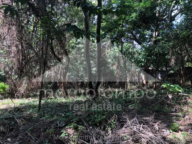 Terreno en Venta Balcones de Santo Domingo, Managua - Imagen 14