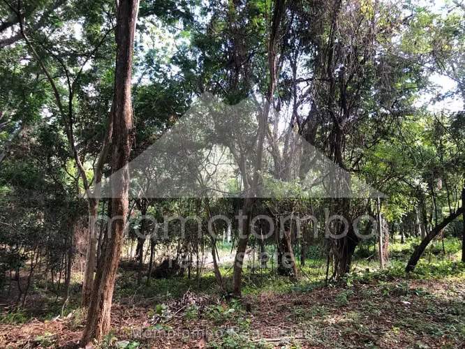 Terreno en Venta Balcones de Santo Domingo, Managua - Imagen 13