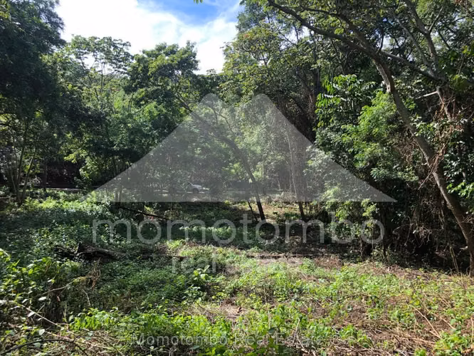 Terreno en Venta Balcones de Santo Domingo, Managua - Imagen 4