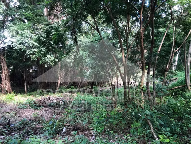 Terreno en Venta Balcones de Santo Domingo, Managua - Imagen 9