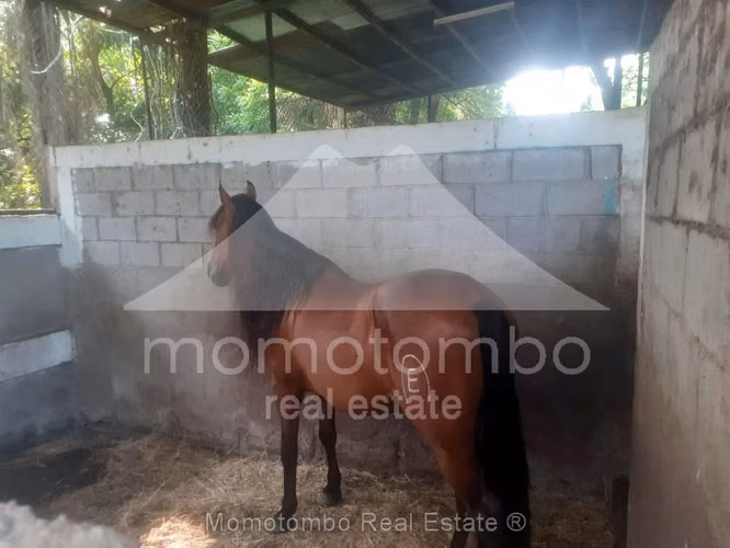 Finca en Venta , Managua
