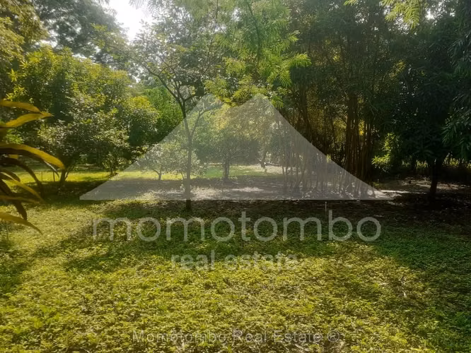 Finca en Venta , Managua