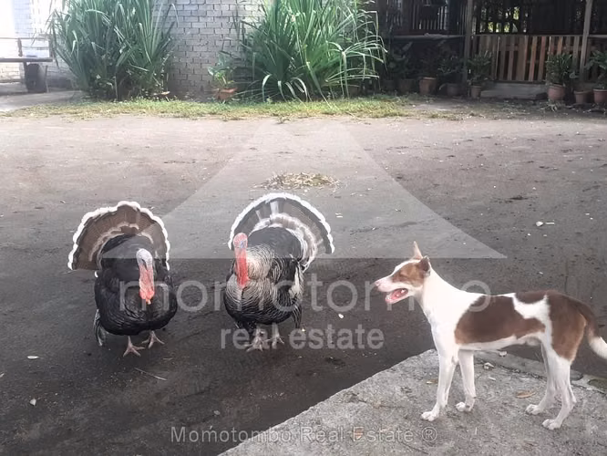 Finca en Venta , Managua