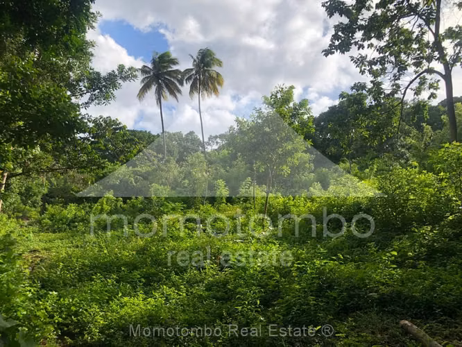 Farm for Sale Pochocuape, Managua