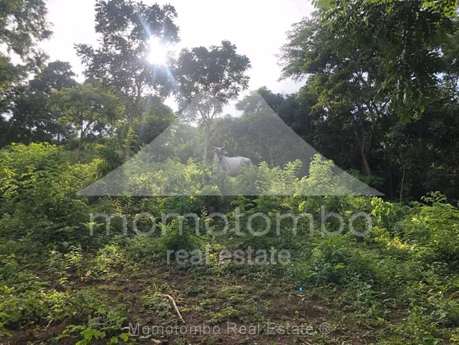 Finca en Venta Pochocuape, Managua