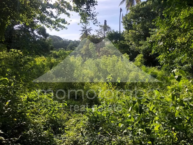 Finca en Venta Pochocuape, Managua