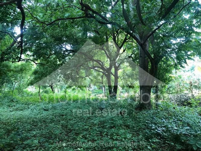 Terreno en Venta Carretera A Ticuantepe, Ticuantepe - Imagen 2