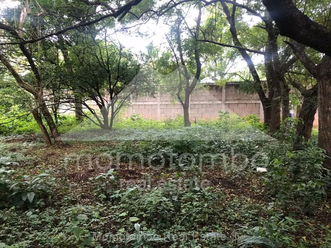Terreno en Venta Carretera A Ticuantepe, Ticuantepe - Imagen 4