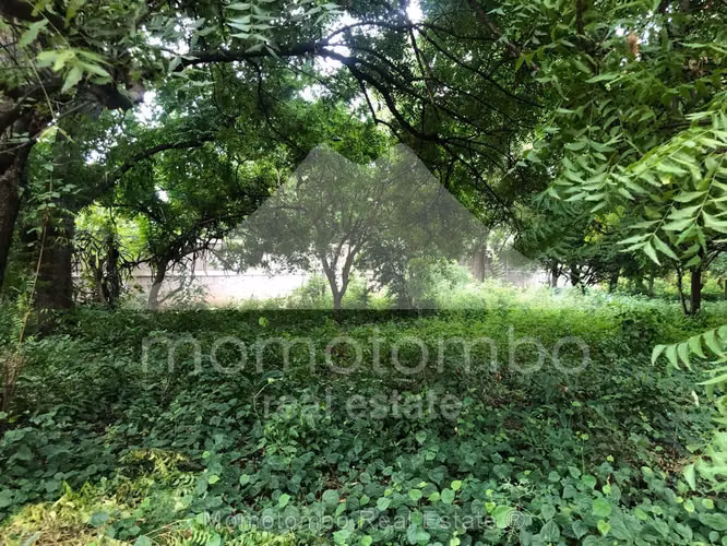 Terreno en Venta Carretera A Ticuantepe, Ticuantepe - Imagen 3