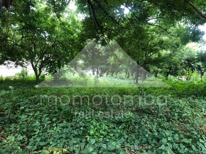 Terreno en Venta Carretera A Ticuantepe, Ticuantepe - Imagen 5