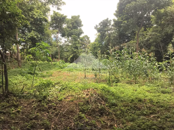 Terreno en Venta Loma Linda, Managua - Imagen 2