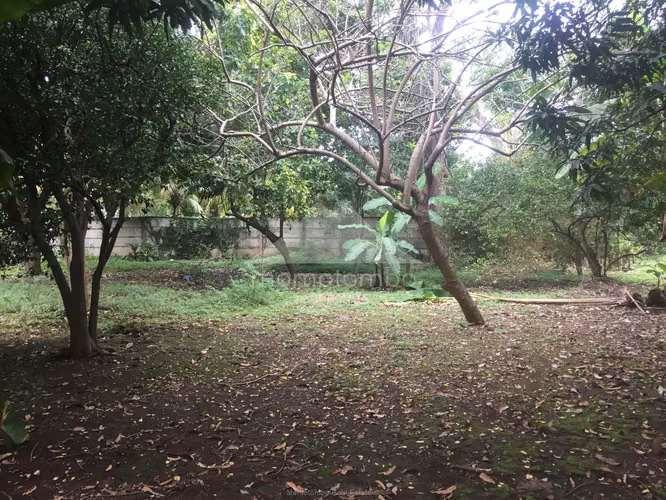 Quinta en Venta Carretera A Veracruz, Managua