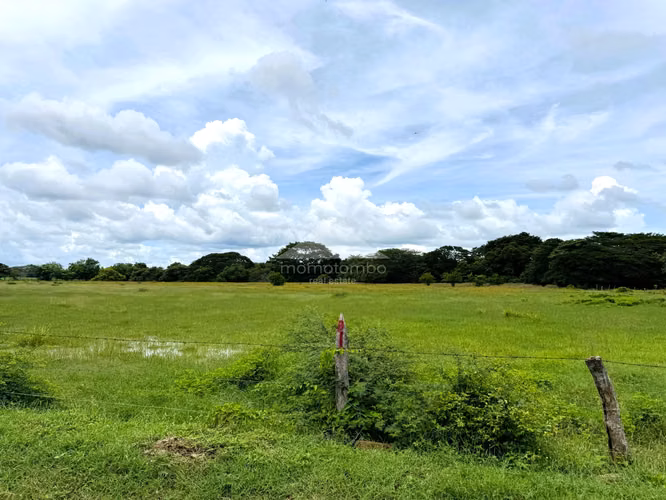 Finca en Venta Pica Pica, Rio Las Lajas, Rivas