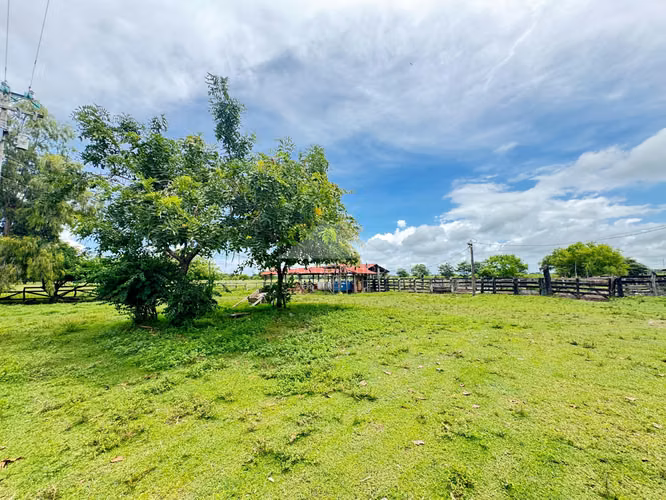 Finca for Sale Pica Pica, Rio Las Lajas, Rivas