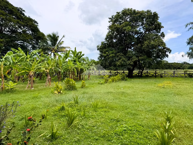 Finca en Venta Pica Pica, Rio Las Lajas, Rivas