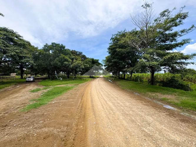 Finca en Venta Pica Pica, Rio Las Lajas, Rivas