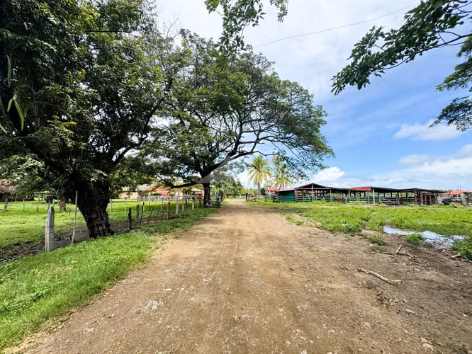 Finca en Venta Pica Pica, Rio Las Lajas, Rivas