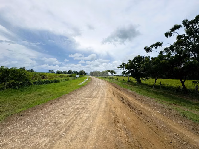 Finca en Venta Pica Pica, Rio Las Lajas, Rivas