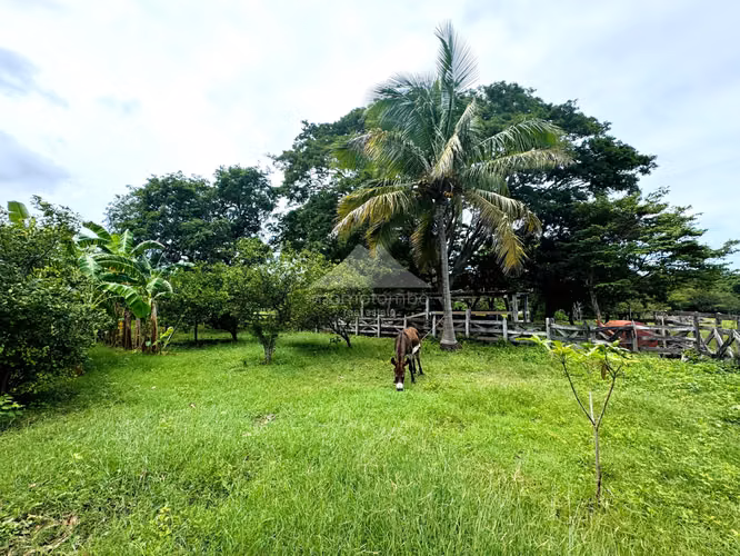 Finca en Venta Pica Pica, Rio Las Lajas, Rivas