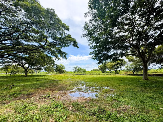 Finca en Venta Pica Pica, Rio Las Lajas, Rivas