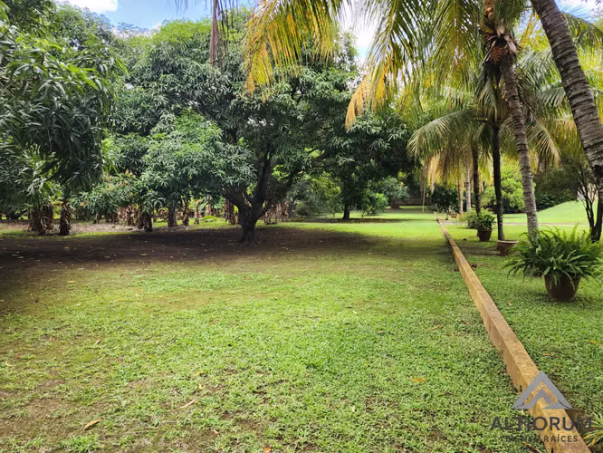 Terreno en Venta en Esquipulas, Managua  - Imagen 8