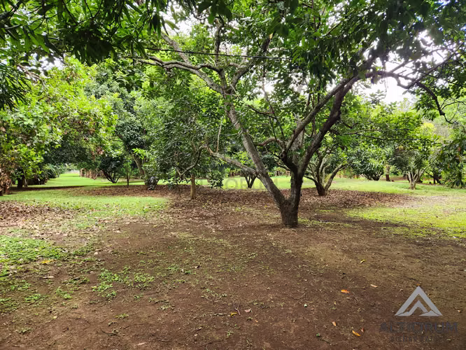 Terreno en Venta en Esquipulas, Managua  - Imagen 11