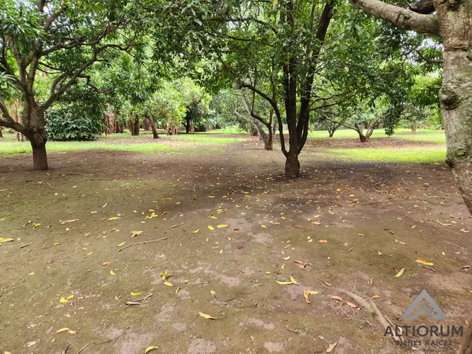 Terreno en Venta en Esquipulas, Managua  - Imagen 9