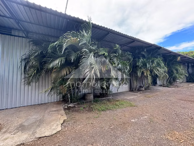 Bodega en Venta &amp; Renta Dupla Norte, Ministerio Del Trabajo, Managua - Imagen 12