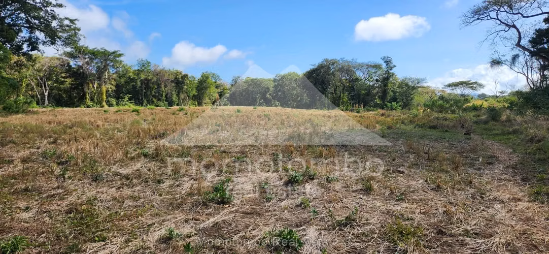 Finca en Venta , Belen