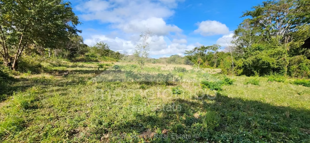 Finca en Venta , Belen