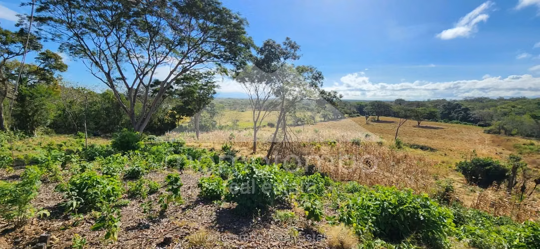 Finca en Venta , Belen